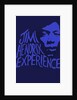 Jimi Hendrix Experience Poster by Rokpool
